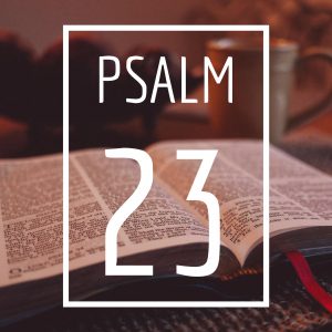 Psalm 23 - Grace Baptist Church - Harlingen